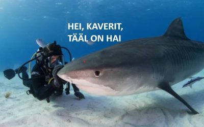 Kaikki kipu mitä tunnet henkisesti, tulee sinusta itsestäsi.