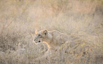 Kuolemaasi asti, kaikki häviämiset ovat vain henkisiä.